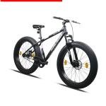 BIKE FUN (26 x 4.00)