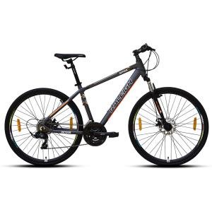 DETOUR 700C (21 Speed)